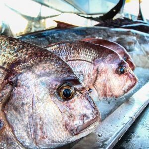 Dove mangiare a Lampedusa